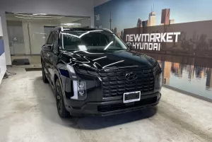 2023 Hyundai Palisade Image