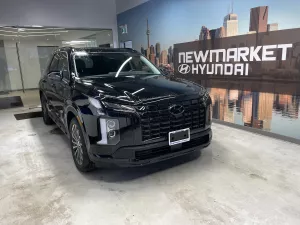 2025 Hyundai Palisade Image