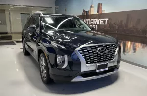 2020 Hyundai Palisade Image
