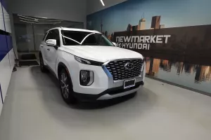 2021 Hyundai Palisade Image