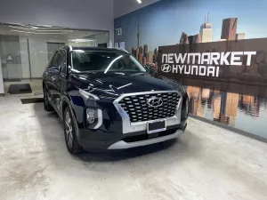 2022 Hyundai Palisade Image