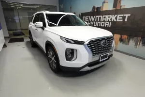 2022 Hyundai Palisade Image