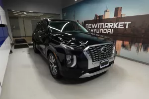 2020 Hyundai Palisade Image