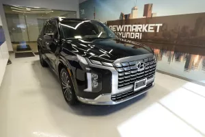 2023 Hyundai Palisade Image