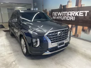 2020 Hyundai Palisade Image