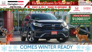 2020 Honda CR-V Image