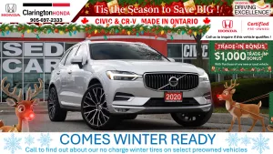 2020 Volvo XC60 Image