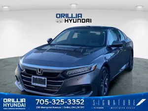 2021 Honda Accord Sedan Image