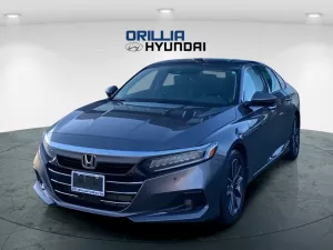2021 Honda Accord Sedan Image