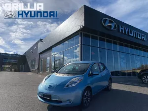 2015 Nissan LEAF Image