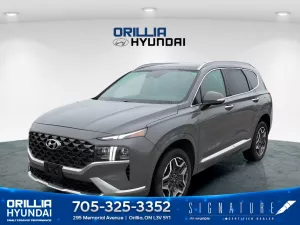 2021 Hyundai Santa Fe Image