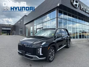 2023 Hyundai Palisade Image