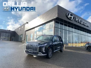2023 Hyundai Palisade Image