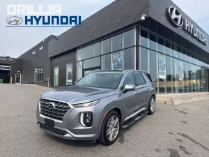 2020 Hyundai Palisade Image