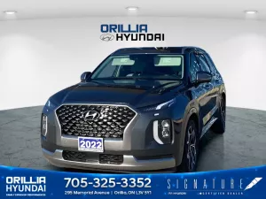 2022 Hyundai Palisade Image