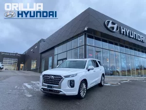 2020 Hyundai Palisade Image