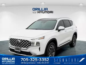 2021 Hyundai Santa Fe Hybrid Image