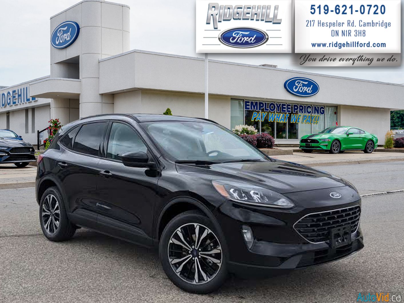 2021 ford escape