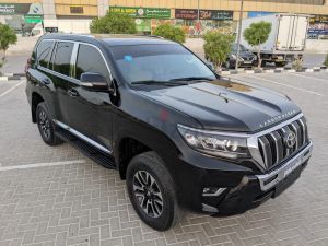 2010 TOYOTA PRADO