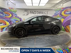 2025 Tesla Model Y Image