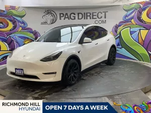 2023 Tesla Model Y Image