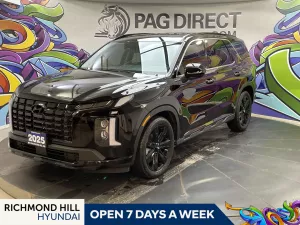2025 Hyundai Palisade Image