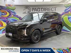 2025 Hyundai Palisade Image
