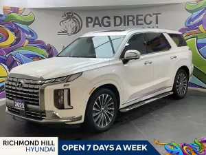 2023 Hyundai Palisade Image