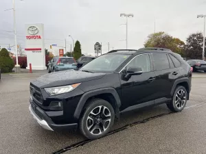 2019 Toyota RAV4 Image