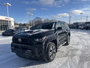 2025 Toyota 4Runner Image