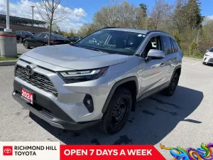 2024 Toyota RAV4 Image