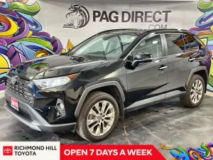 2019 Toyota RAV4 Image