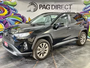 2019 Toyota RAV4 Image