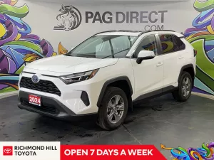 2024 Toyota RAV4 Image