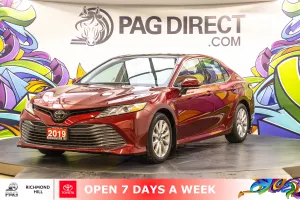 2019 Toyota Camry Image