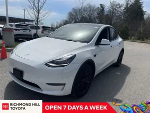 2023 Tesla Model Y Image