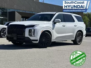 2025 Hyundai Palisade Image