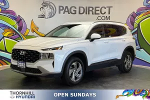 2022 Hyundai Santa Fe Image