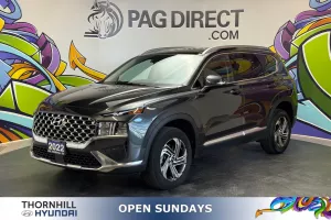 2022 Hyundai Santa Fe Image