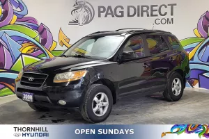 2008 Hyundai Santa Fe Image