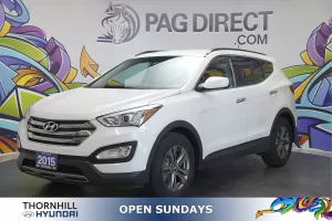 2015 hyundai Santa Fe Sport Image