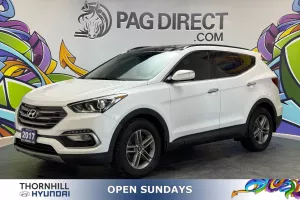 2017 Hyundai Santa Fe Sport Image