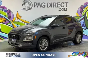 2019 hyundai KONA Image