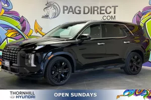 2023 Hyundai Palisade Image