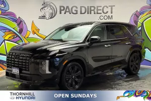 2023 Hyundai Palisade Image