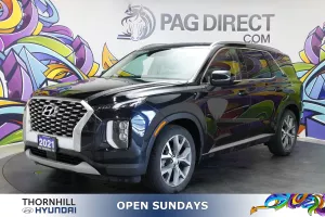 2021 Hyundai Palisade Image