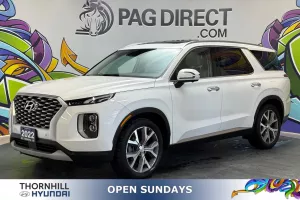 2022 hyundai Palisade Image