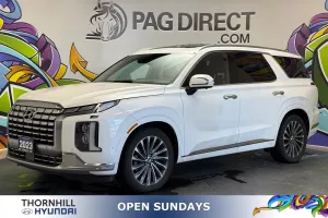 2023 Hyundai Palisade Image