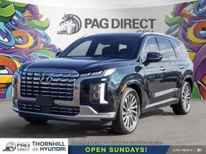 2025 Hyundai Palisade Image