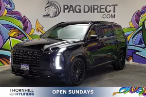 2025 Hyundai Palisade Image